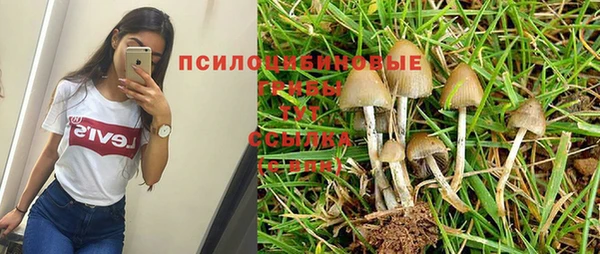 spice Балахна