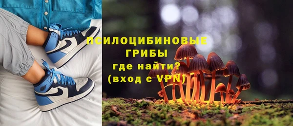 spice Балахна