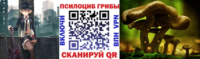 закладки Енисейск Галлюциногенные грибы GOLDEN TEACHER